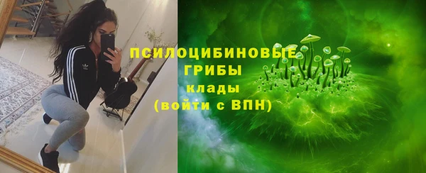 дмт Алексин